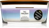 Woodwick Trilogy Calming Retreat - Ароматическая свеча с деревянным фитилем (hearthwick) с деревянным фитилем (hearthwick), 453.6 г — фото 1