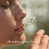 Mexx Inspired Nature - Освежитель воздуха в аэрозольной упаковке, 500 мл — фото 6