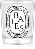 Diptyque Baies - душистая свеча, 190 г — фото 1