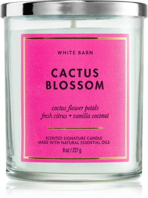 Bath & Body Works Cactus Blossom - Ароматическая свеча, 227 г