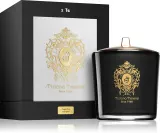 Tiziana Terenzi Capri Fig - Ароматическая свеча с деревянным фитилем с деревянным фитилем, 500 г — фото 2