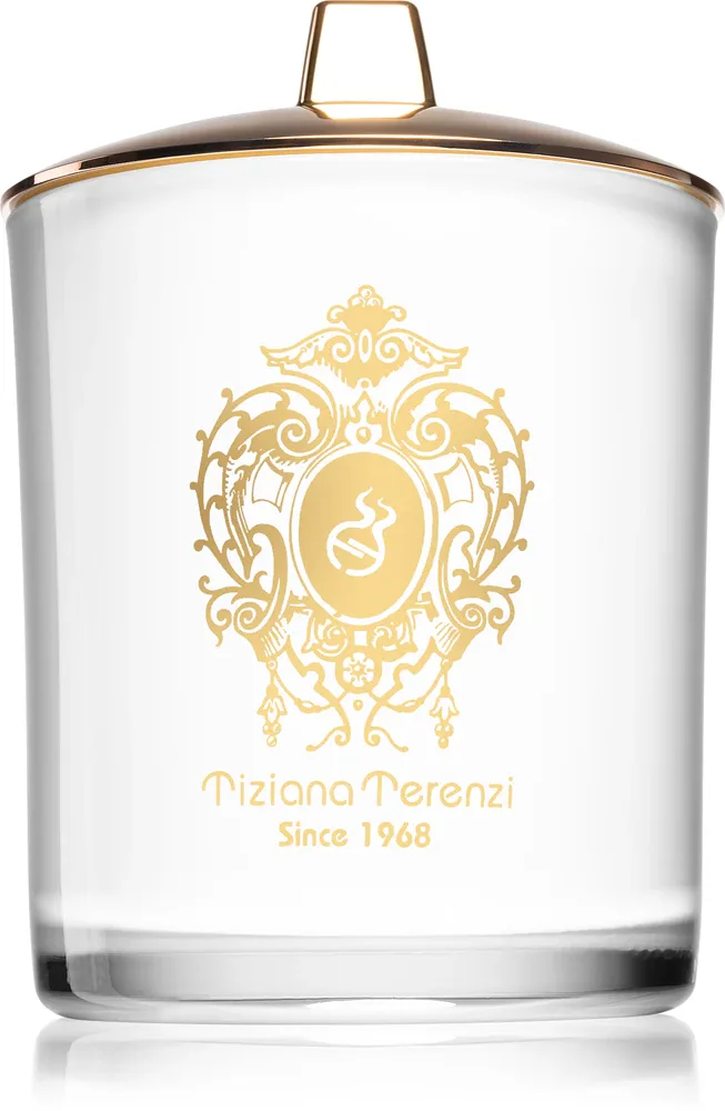 Tiziana Terenzi Spicy Snow - Ароматическая свеча с деревянным фитилем