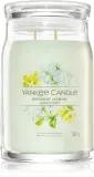 Yankee Candle Midnight Jasmine - Ароматическая свеча I. Signature — фото 1