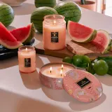 VOLUSPA Japonica Kalahari Watermelon - Ароматическая свеча, 156 г — фото 3