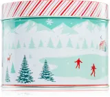 DW Home Scene & Stripes Cinnamon Gum Drops - Ароматическая свеча — фото 1