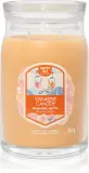 Yankee Candle Slopeside Spritz - Ароматическая свеча Signature — фото 1