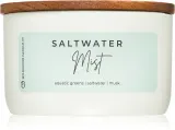 Milkhouse Candle Co. Statement Saltwater Mist - Ароматическая свеча, 283 г — фото 1