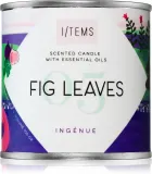 I/TEMS Artist Collection 05 / Fig Leaves - Ароматическая свеча, 100 г — фото 1