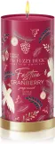 Baylis & Harding The Fuzzy Duck Winter Wonderland - Ароматическая свеча с ароматом клюквы аромат Cranberry, 390 г — фото 1