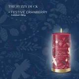 Baylis & Harding The Fuzzy Duck Winter Wonderland - Ароматическая свеча с ароматом клюквы аромат Cranberry, 390 г — фото 2