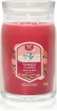 Yankee Candle Santa On Skis - Ароматическая свеча Signature — фото 1