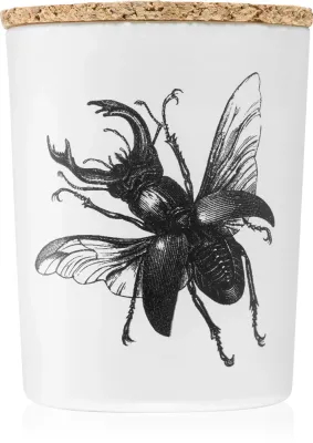 Vila Hermanos Insect Lucanus Cervus - Ароматическая свеча, 75 г