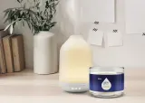 GLADE Aromatherapy Pure Happiness - Ароматический диффузор с наполнителем Orange + Neroli, 17.4 мл — фото 2