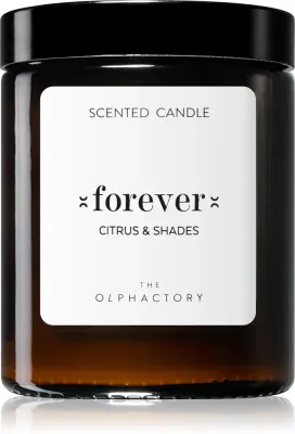 The Olphactory Ambientair The Olphactory Citrus & Shades - Ароматическая свеча Forever Forever, 135 г