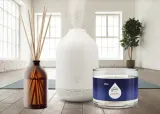 GLADE Aromatherapy Moment of Zen - Наполнитель для диффузоров Лаванда + Сандаловое дерево Lavender + Sandalwood, 17.4 мл — фото 4