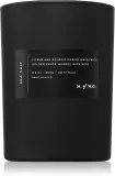 DW Home M. of W.G. Sea Salt - Ароматическая свеча, 250 г — фото 1