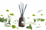 Notino Reed Diffuser Eucalyptus & Mint - Ароматический диффузор, 250 мл — фото 4