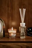 Baobab Collection My First Baobab Roma - Подарочный набор ароматов для дома, 1 шт — фото 2