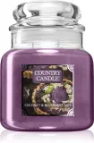 Country Candle Coconut & Blueberry Tart - Ароматическая свеча, 453 г — фото 1