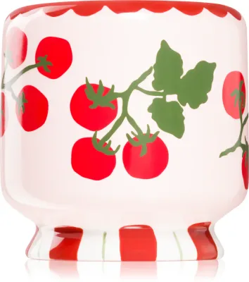 Свеча ароматическая Paddywax A Dopo Tomato Vine цитрусовая, соево-растительный воск, 226 г
