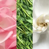 Mario Badescu Facial Spray with Aloe, Herbs and Rosewater - Тонизирующий спрей для лица для осветления и увлажнения — фото 3