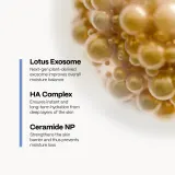 SKINSOO HydraCell Exosome Cream - Увлажняющий крем для лица — фото 3