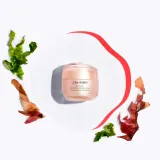 Shiseido Benefiance Wrinkle Smoothing Cream Enriched - Крем против морщин для сухой кожи на день и ночь — фото 3