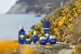 L’Occitane Immortelle Precious - Сглаживающий антивозрастной крем, 50 мл — фото 7