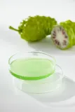 celimax The Real Noni - Интенсивное увлажняющее сыворотка для лица для смягчения и укрепления чувствительной кожи — фото 7