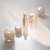 Shiseido Benefiance Wrinkle Smoothing Day Cream - Противоморщинный крем для лица SPF 25, 50 мл — фото 4
