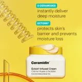 Dr. Jart+ Ceramidin Ectoin-Infused Cream - Увлажняющий крем для лица с керамидами, 50 мл — фото 4