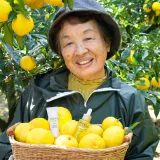 Shiseido Waso Yuzu-C - Осветляющая сыворотка для глаз с витамином C, 20 мл — фото 4