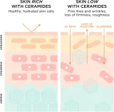 Elizabeth Arden Ceramide Advanced Ceramide - Сыворотка увлажняющая и питательная в капсулах — фото 4