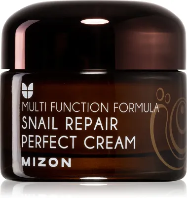 Mizon Multi Function Formula Snail - Крем для лица с экстрактом слизи улитки 60%, 50 мл