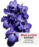 Clarins Blue Orchid Treatment Oil - Антивоксидантное масло для лица день/ночь с увлажняющим действием, 30 мл — фото 3