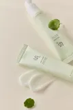 Beauty of Joseon Light On Serum Centella + Vita C - Сыворотка осветляющая с успокаивающим действием, 30 мл — фото 4