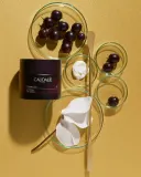 Caudalie Premier Cru The Cream - Увлажняющий крем для лица против старения, 50 мл — фото 3