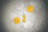 Rodial Vit C Drops - Крем для лица с концентрированной заботой и витамином C — фото 4