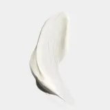 Clinique Superdefense SPF 25 Fatigue + 1st Signs Of Age Multi-Correcting Cream - Крем против первых признаков старения для сухой и комбинированной кожи — фото 2