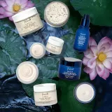 fresh Lotus Youth Preserve Dream Cream - Крем на ночь против признаков старения — фото 7