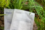 mixsoon Bifida - Увлажняющая маска с пробиотиками, 5 г — фото 6