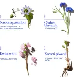 fresh Floral Recovery Calming Mask - Ночной крем для чувствительной кожи — фото 5