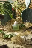 WHAMISA Cactus Bouncy Serum - Сыворотка интенсивного увлажнения для упругости кожи, 52 мл — фото 5