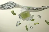 WHAMISA Cactus Bouncy Serum - Сыворотка интенсивного увлажнения для упругости кожи, 52 мл — фото 6
