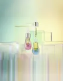 Elemis Pro-Collagen Marine Oil - Крем против морщин для лица, 15 мл — фото 6
