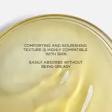 Darphin Chamomile Aromatic Care - Крем для лица с эфирным маслом ромашки для смягчения, 15 мл — фото 3