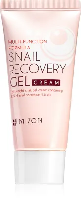 Mizon Multi Function Formula Snail - Крем для лица с экстрактом слизи улитки, 45 мл