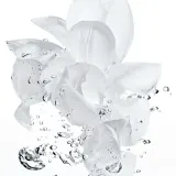 DIOR Hydra Life Intense Sorbet Creme - Питательный увлажняющий крем, 50 мл — фото 5