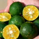 Shiseido Waso Shikulime - Очищающий гель для лица, 125 мл — фото 7