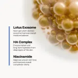 SKINSOO HydraCell Exosome Toner - Увлажняющий тоник для лица — фото 3